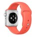 Curea iUni compatibila cu Apple Watch 1/2/3/4/5/6/7, 42mm, Silicon, Red